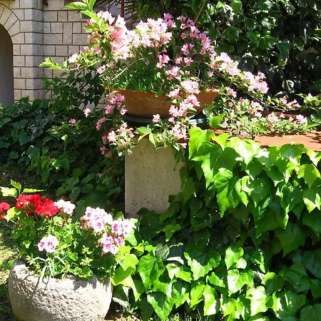 Caterina Guest house