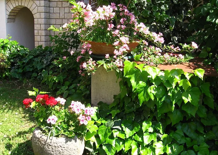 Caterina Guest house