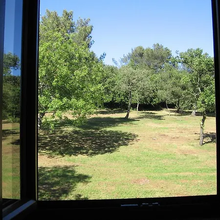 Caterina 3* פורץ